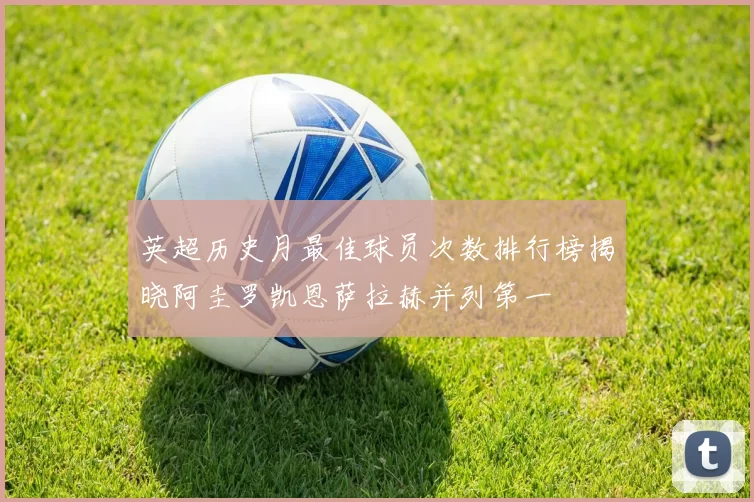英超历史月最佳球员次数排行榜揭晓阿圭罗凯恩萨拉赫并列第一
